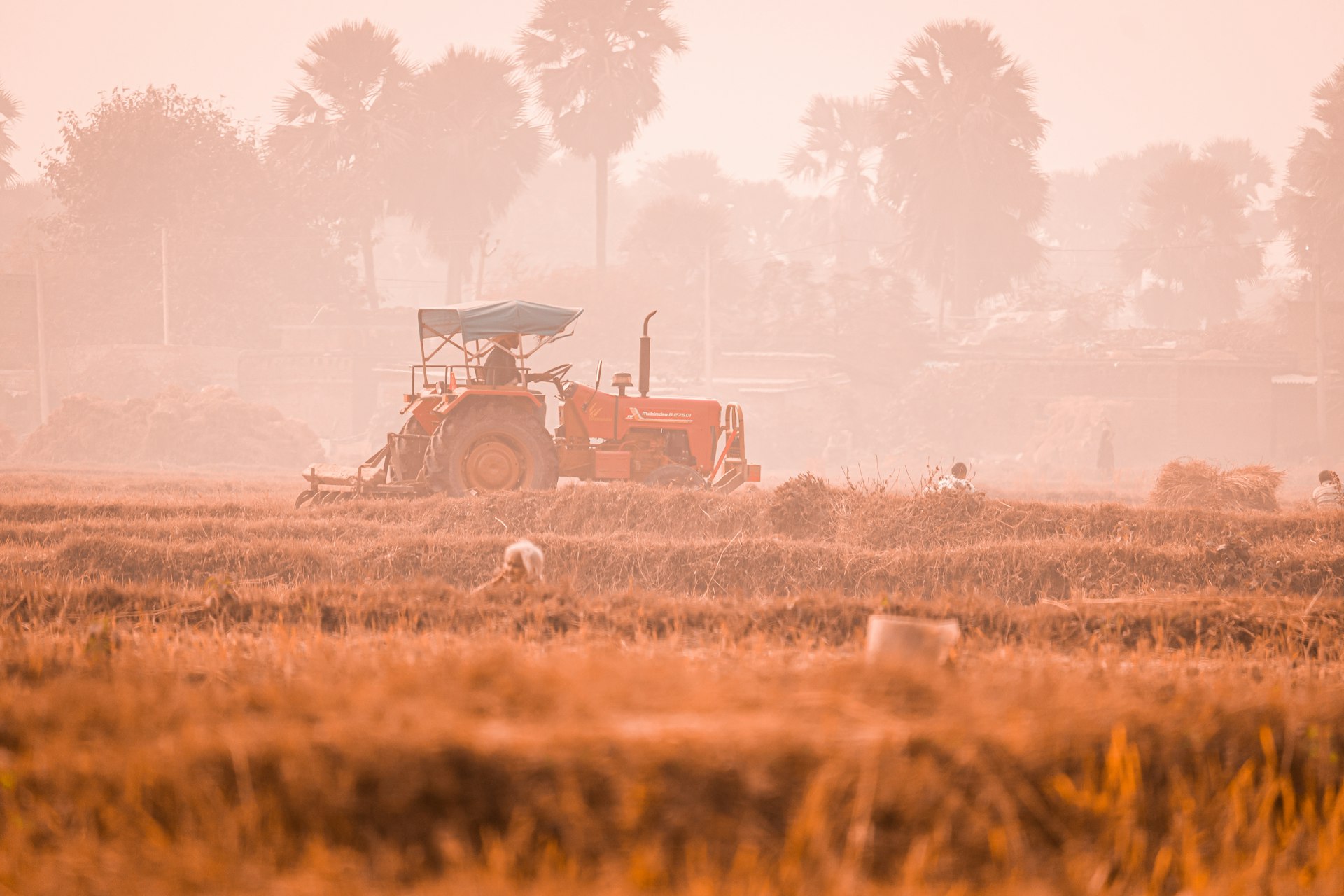a tractor is driving through a field in the fog
